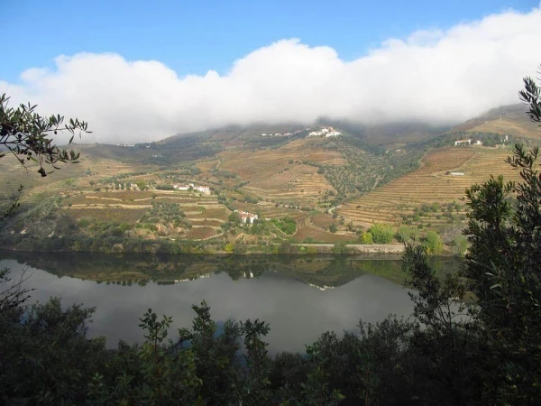 Bortúra Portoban és a Douro-völgyben **** 22. kép