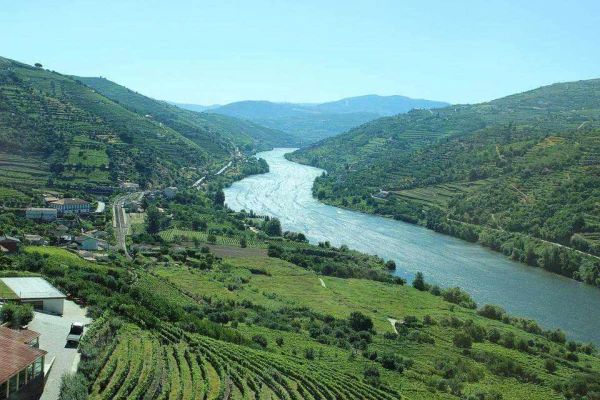 Bortúra Portoban és a Douro-völgyben **** 29. kép