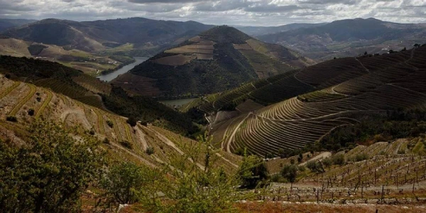 Bortúra Portoban és a Douro-völgyben **** 27. kép