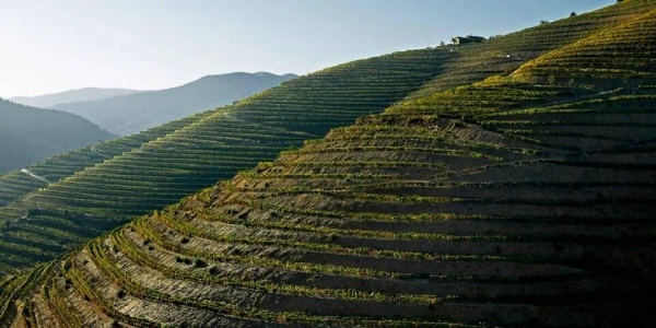 Bortúra Portoban és a Douro-völgyben **** 20. kép