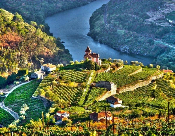 Bortúra Portoban és a Douro-völgyben **** 12. kép