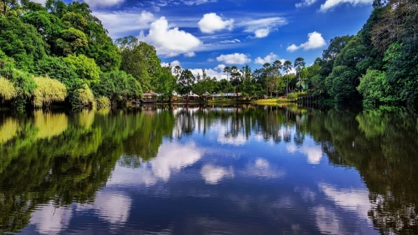 MALAJZIA - BORNEÓI KALANDOK **** kép