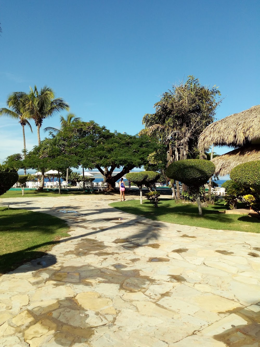 Casa Marina Beach & Reef image 9